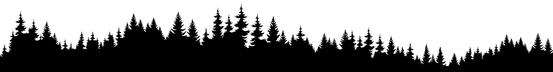 M4 Wald mit Umrisse
